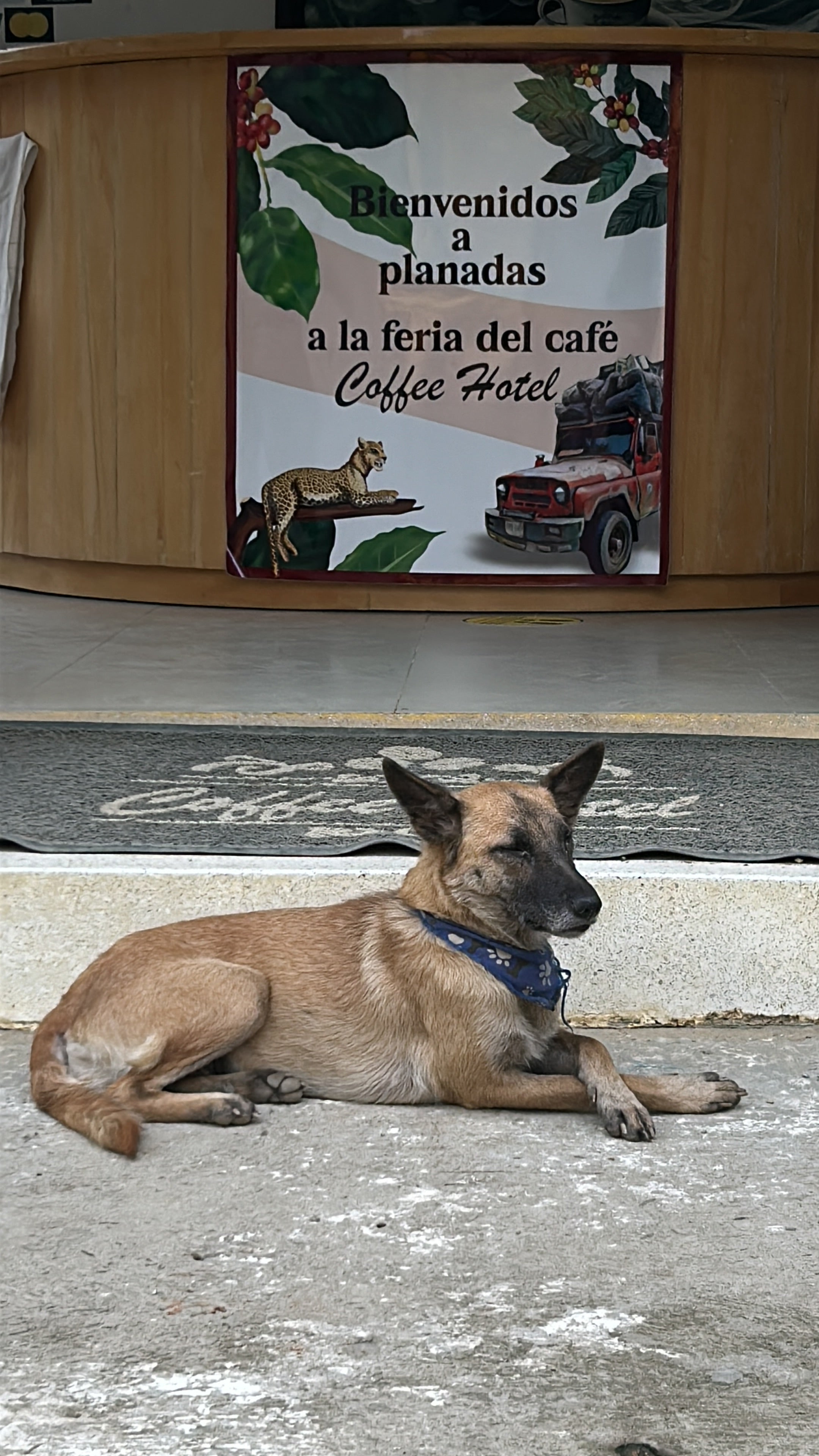 Fair Trade and Organic Colombia ASOPEP