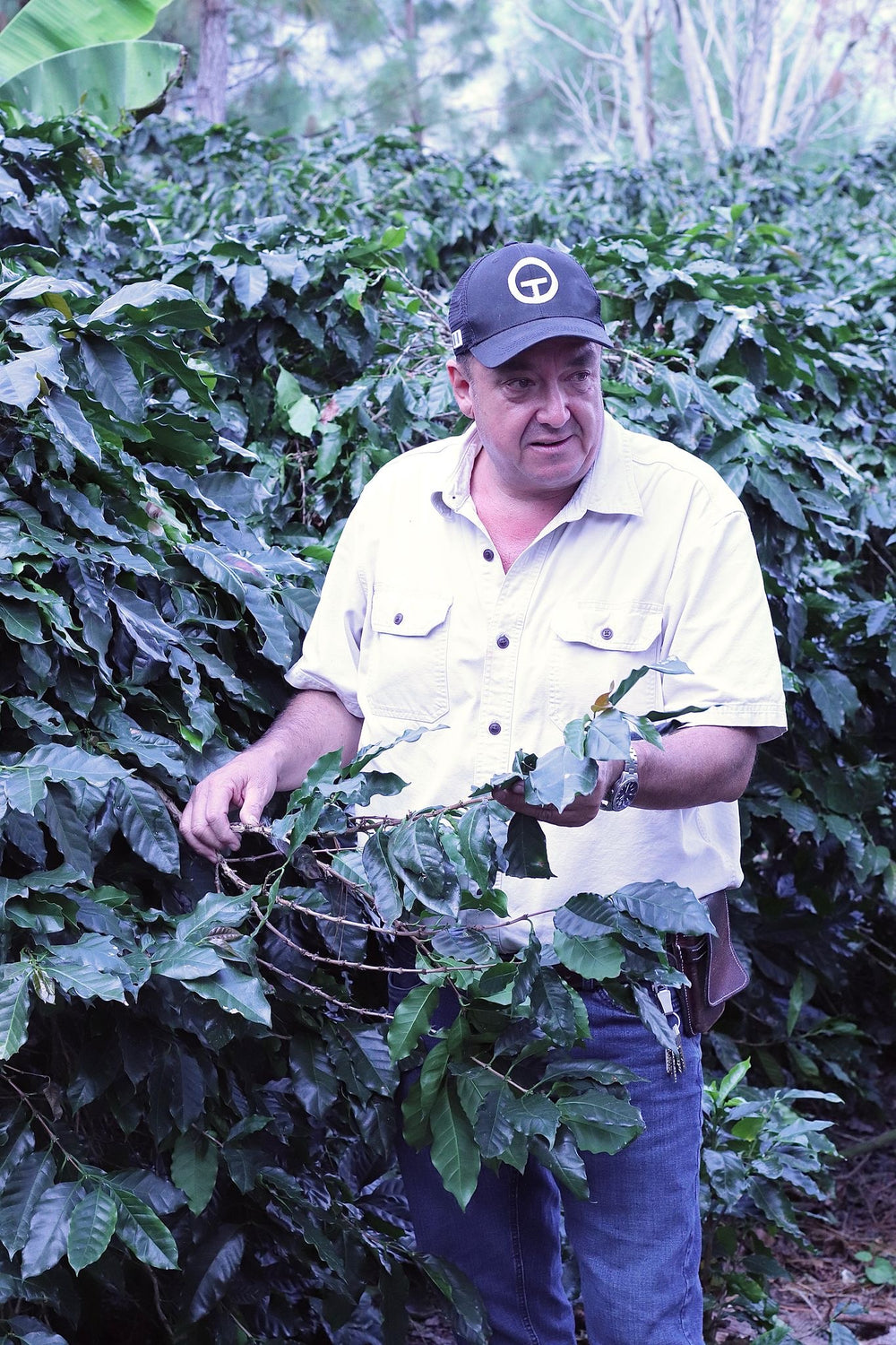 Guatemala - Raúl Solís Paiz